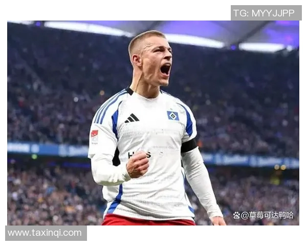 汉堡队再次降级,德甲历史性时刻! 汉堡队再次降级,德甲历史性时刻!